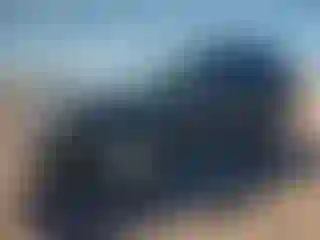 Vehicle Image- 2012 Ford Escape