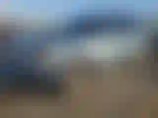 Vehicle Image- 2011 Ford Escape