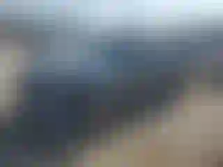 Vehicle Image- 2012 Ford Escape