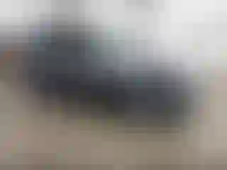 Vehicle Image- 2010 Ford Escape