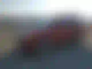Vehicle Image- 2010 Ford Escape