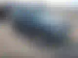 Vehicle Image- 2010 Ford Escape