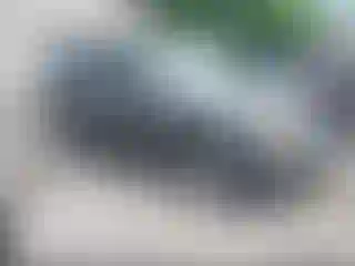 Vehicle Image- 2012 Ford Escape