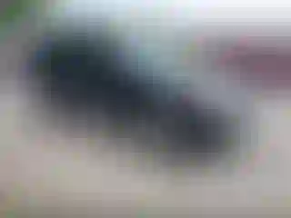 Vehicle Image- 2010 Ford Escape