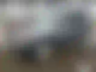 Vehicle Image- 2010 Ford Escape