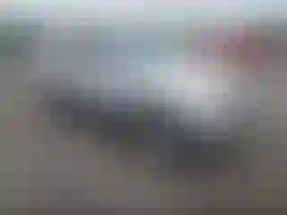 Vehicle Image- 2011 Ford Escape