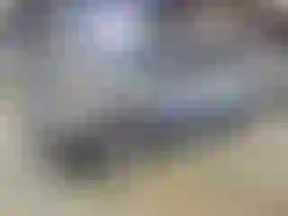 Vehicle Image- 2012 Ford Escape