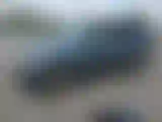 Vehicle Image- 2010 Ford Escape