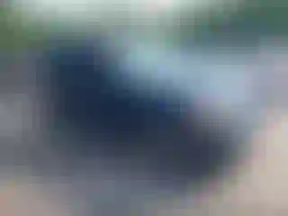 Vehicle Image- 2011 Ford Escape