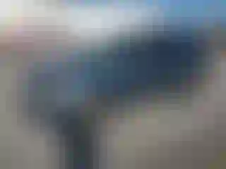 Vehicle Image- 2012 Ford Escape