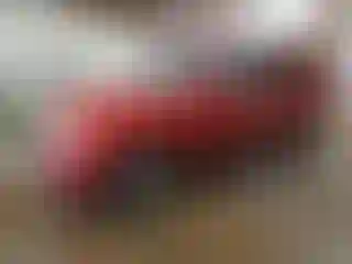 Vehicle Image- 2012 Ford Escape