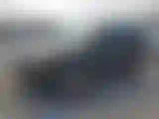 Vehicle Image- 2010 Ford Escape