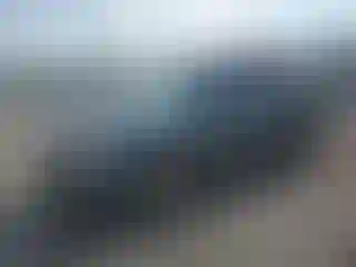 Vehicle Image- 2011 Ford Escape