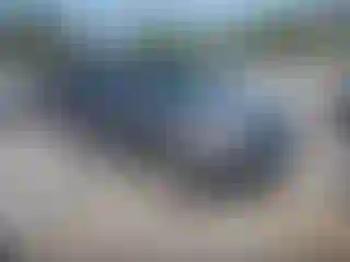 Vehicle Image- 2011 Ford Escape