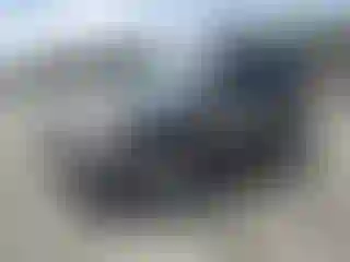 Vehicle Image- 2011 Ford Escape