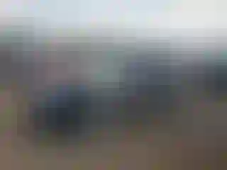 Vehicle Image- 2010 Ford Escape