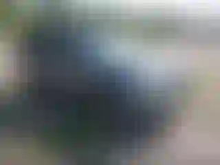 Vehicle Image- 2010 Ford Escape