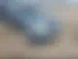 Vehicle Image- 2010 Ford Escape