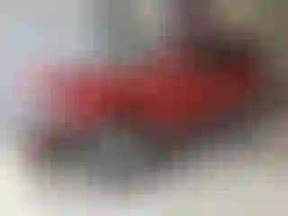 Vehicle Image- 2012 Ford Escape