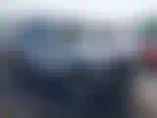Vehicle Image- 2010 Ford Escape
