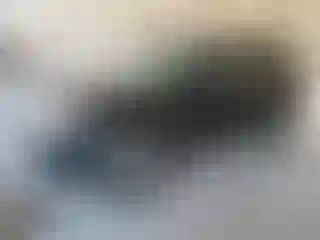 Vehicle Image- 2010 Ford Escape