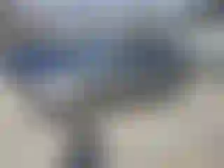 Vehicle Image- 2011 Ford Escape