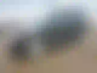 Vehicle Image- 2012 Ford Escape