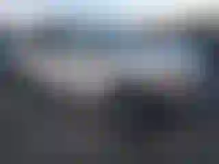 Vehicle Image- 2010 Ford Escape