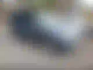 Vehicle Image- 2012 Ford Escape