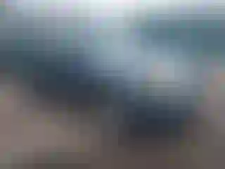 Vehicle Image- 2010 Ford Escape