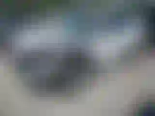 Vehicle Image- 2021 Ford Escape