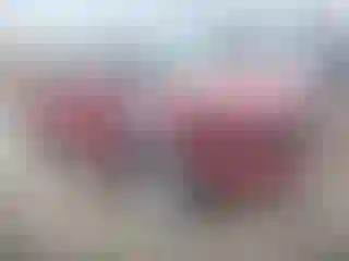 Vehicle Image- 2020 Ford Escape