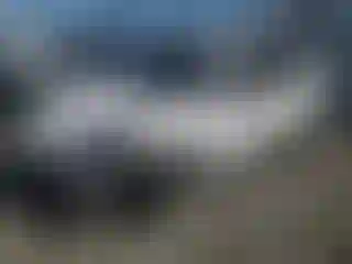 Vehicle Image- 2020 Ford Escape