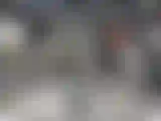 Vehicle Image- 2020 Ford Escape
