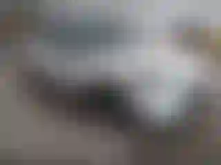 Vehicle Image- 2021 Ford Escape
