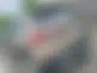 Vehicle Image- 2021 Ford Escape