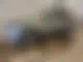 Vehicle Image- 2022 Ford Escape