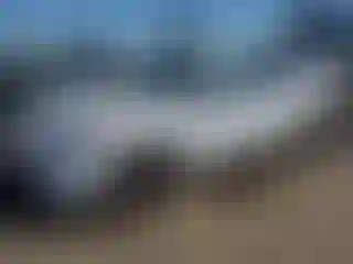 Vehicle Image- 2022 Ford Escape