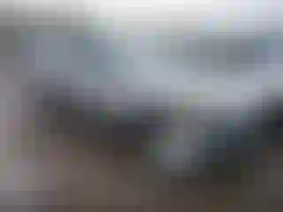 Vehicle Image- 2020 Ford Escape