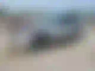 Vehicle Image- 2020 Ford Escape