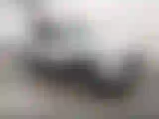 Vehicle Image- 2020 Ford Escape