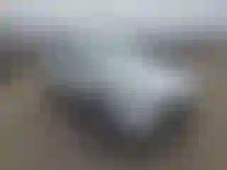Vehicle Image- 2020 Ford Escape