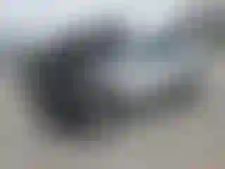 Vehicle Image- 2020 Ford Escape