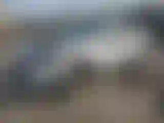 Vehicle Image- 2020 Ford Escape