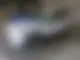 Vehicle Image- 2022 Ford Escape