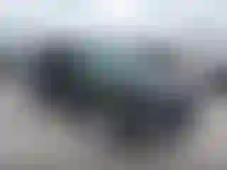 Vehicle Image- 2020 Ford Escape