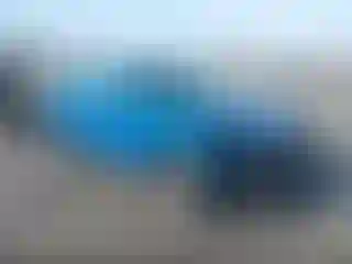 Vehicle Image- 2021 Ford Escape