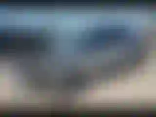 Vehicle Image- 2022 Ford Escape