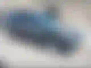 Vehicle Image- 2022 Ford Escape