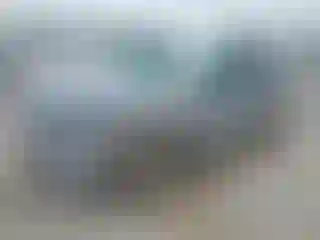 Vehicle Image- 2022 Ford Escape